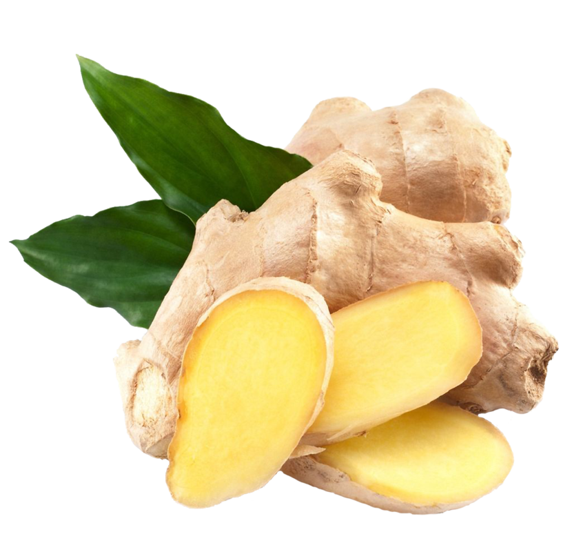 Củ Gừng - Yến Sào Minh Hy